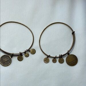 Alex and Ani Bronze Charm Bracelets